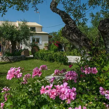 Corfu Linea Βίλα *
