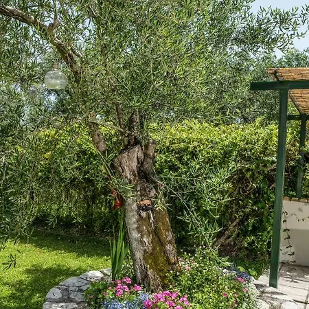Corfu Linea Βίλα *